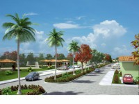 /album/galeria-de-fotos/a195-jpg1/